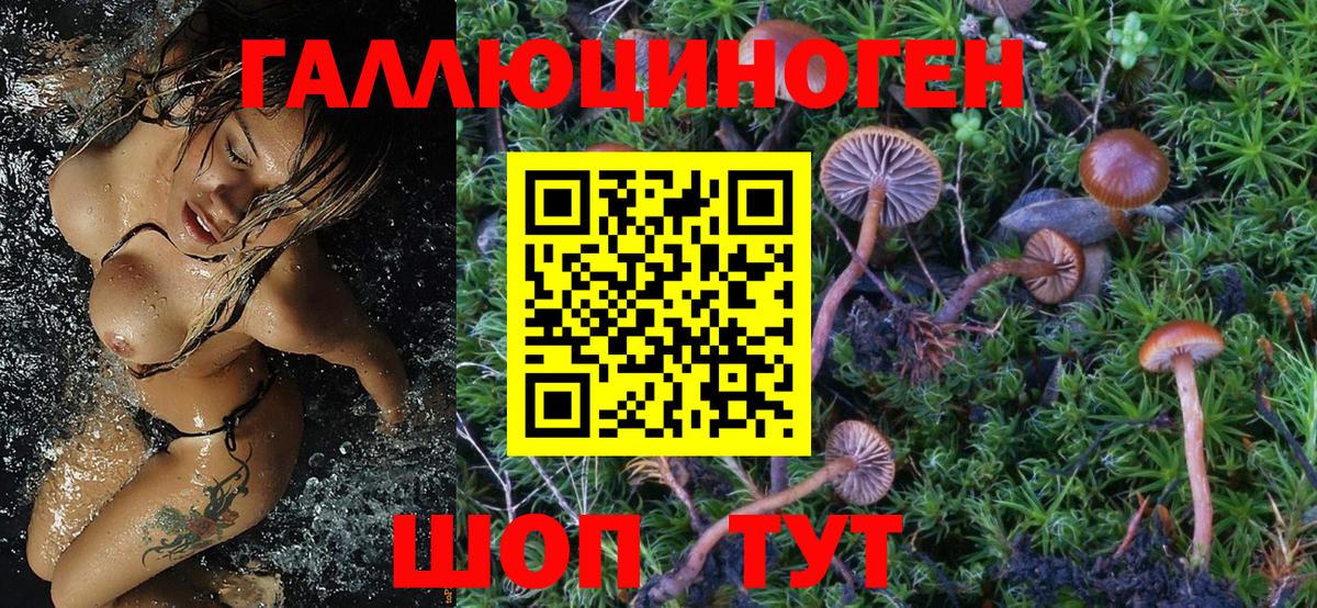 Псилоцибиновые грибы мицелий  Галлюциногенные грибы GOLDEN TEACHER  Вход с VPN  Кызыл 